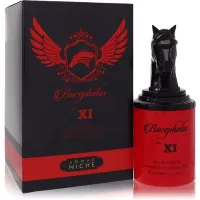 Bucephalus Xi Cologne