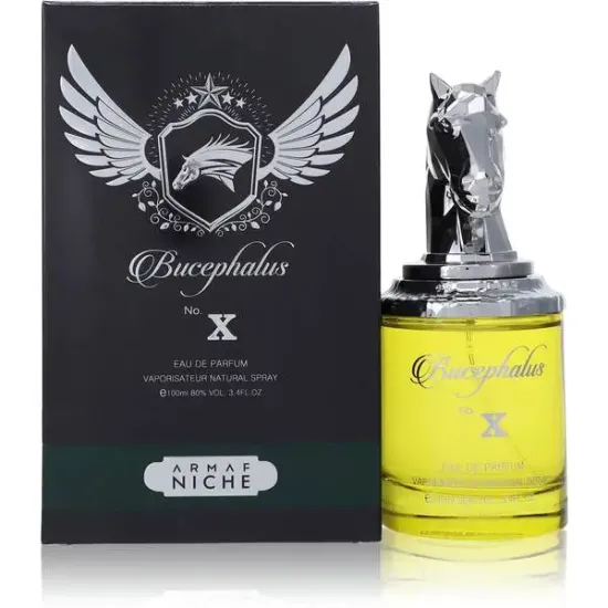 Bucephalus X Cologne